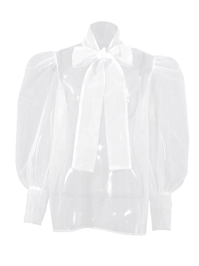 Womens Sheer Mesh Pullover Top