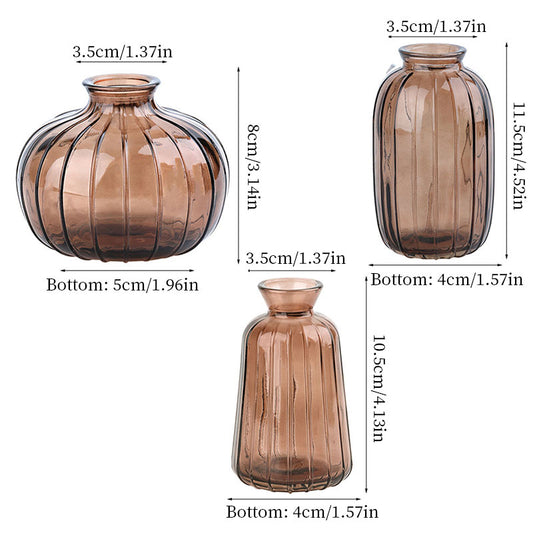 Vintage Glass Vase, Clear Small Hydroponic Flower Vase for Living Room Decor, Home Decoration Centerpiece eprolo