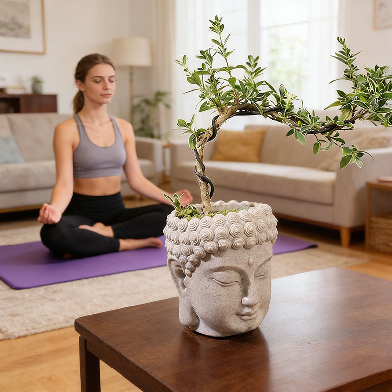 Buddha Head Flower Pot, Small Resin Succulent Planter, Garden Pot Home Office Desk Decoration eprolo